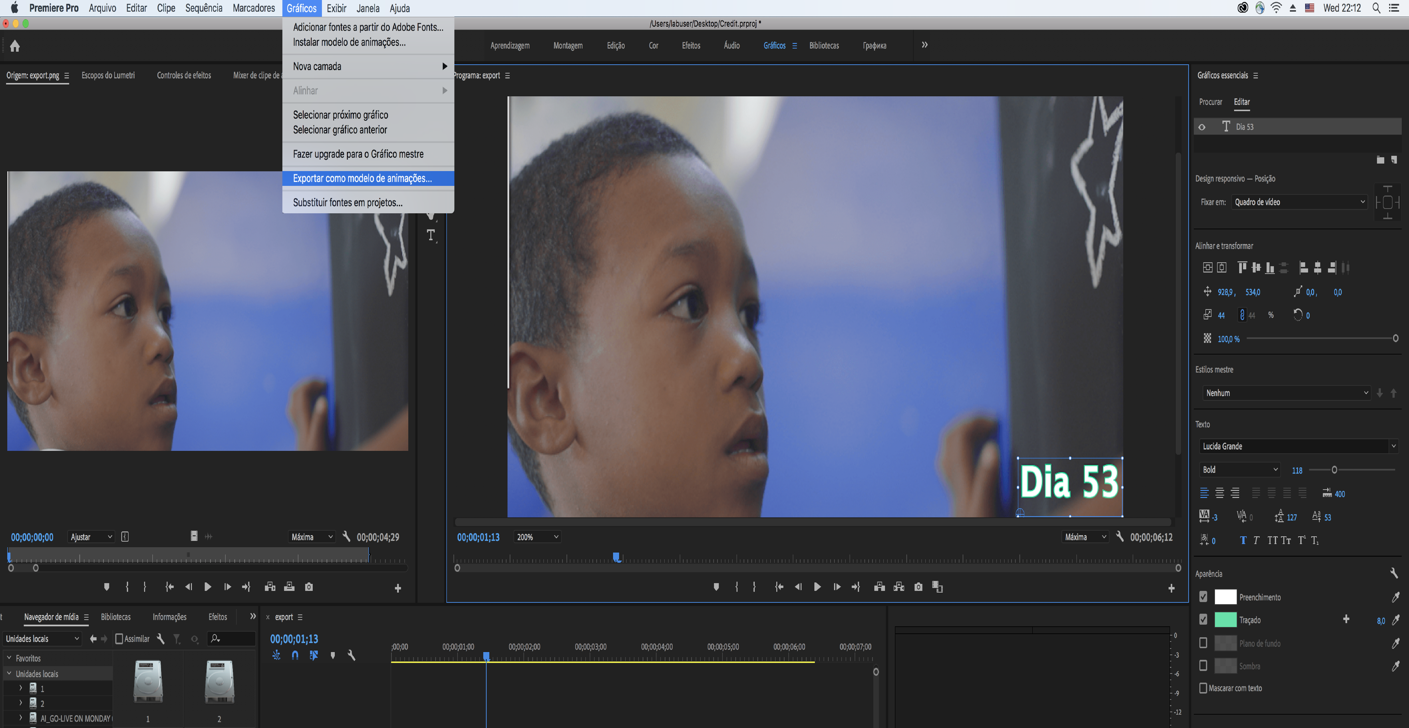 Exportar como modelo de animações