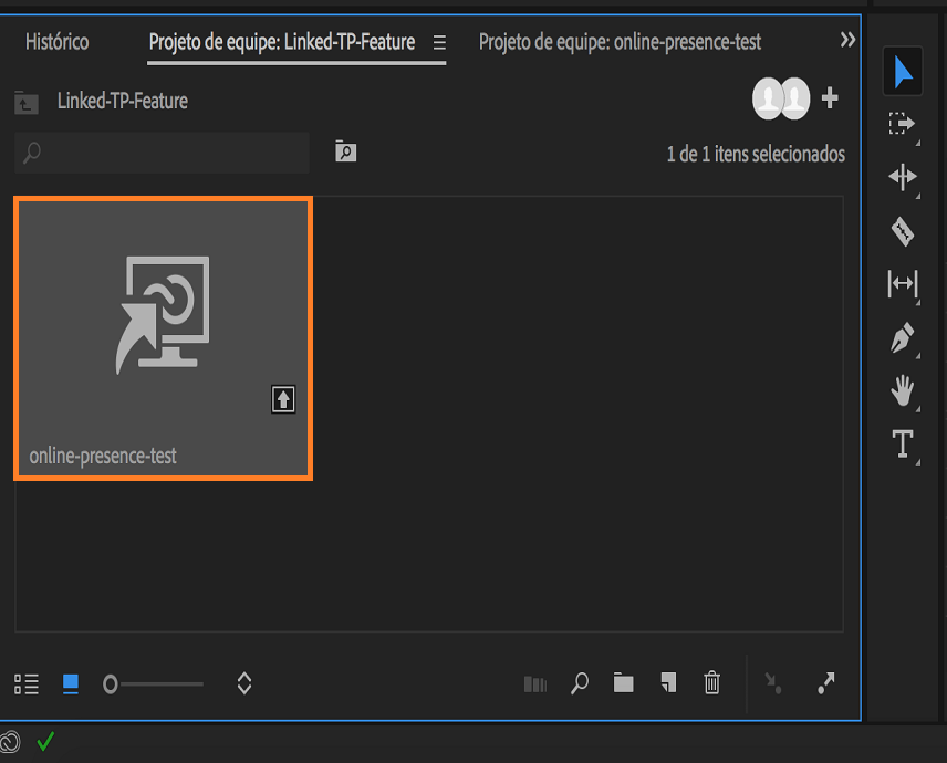 Exibição do projeto de equipe vinculado