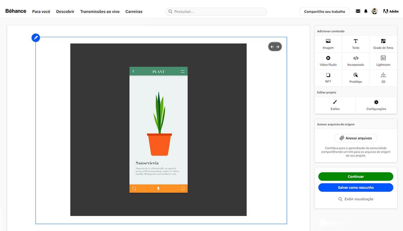 Clique em Continuar para publicar o projeto