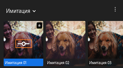 Ползунок значения профиля в Lightroom для Android