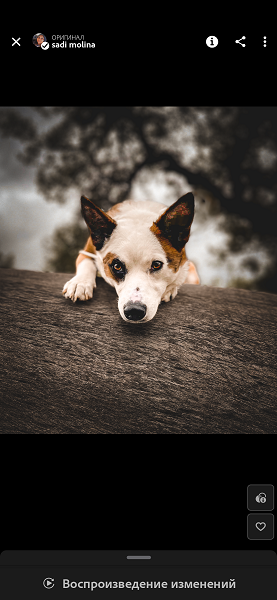 Творчество  