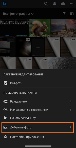 Добавление фотографий из представления «Lightroom»