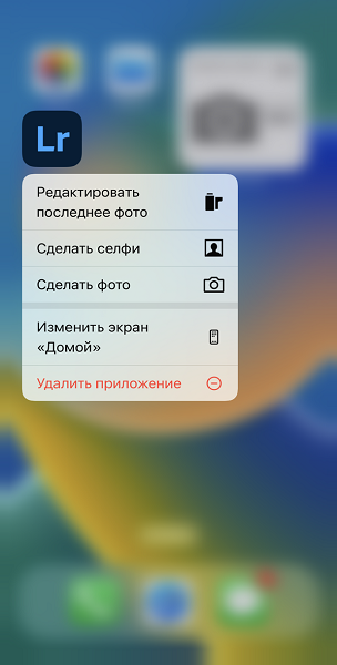 Скриншот интерфейса iPhone, на котором показаны кнопки быстрых действий