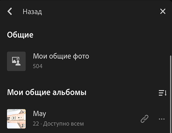 Представление &laquo;Общие альбомы&raquo;
