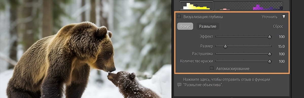 Панель «Фокус» в функции «Размытие объектива»