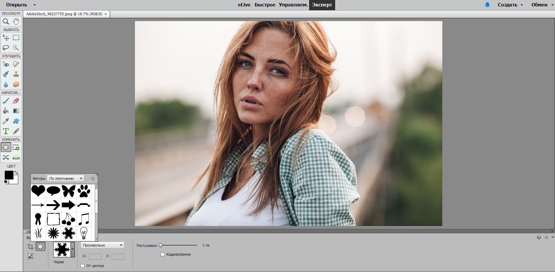 Обрезка изображений в Photoshop Elements