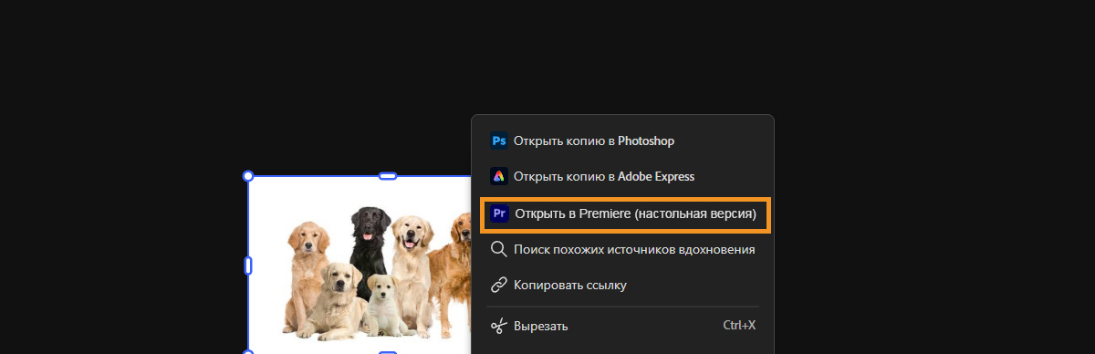 В Firefly Boards открыто контекстное меню для выбранного файла, при этом выделена опция «Открыть в Premiere на настольном ПК».