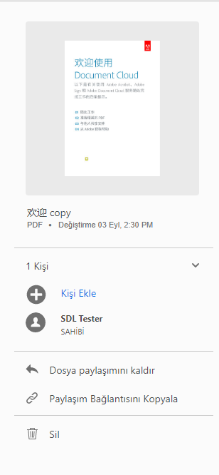 Görüntülenmek üzere paylaşılan dosyalar üzerinde yapılabilecek işlemler