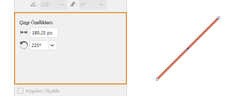 Canlı şekil özellikleri | Çizgi