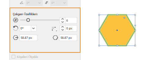 Canlı şekil özellikleri | Çokgen