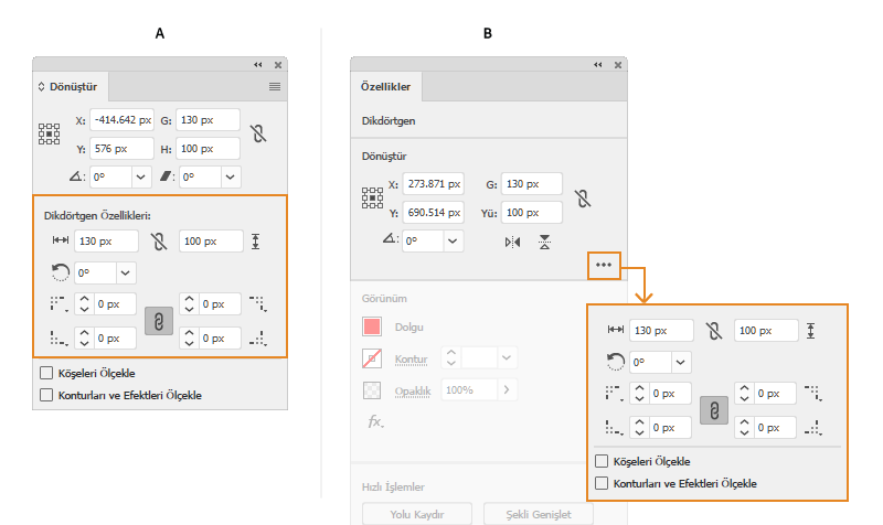 Canlı şekil seçeneklerini belirtme