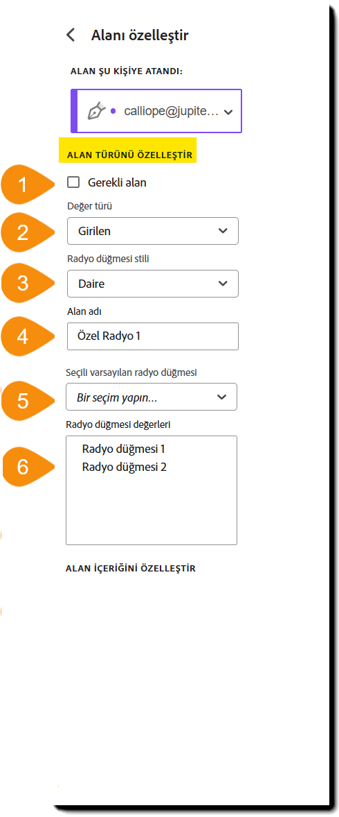 Özelleştirilebilir Alan Türü bölümü vurgulanmış olarak alan özelleştirme menüsünün görünümü.