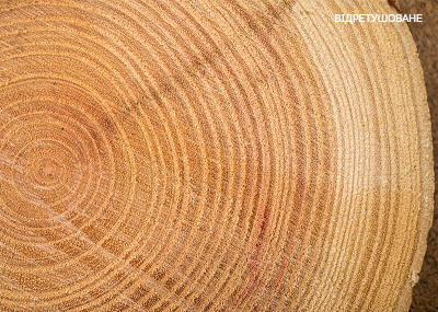 Змінена текстура