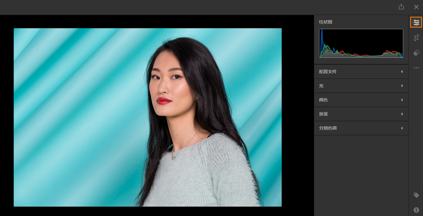 了解如何使用adobe Photoshop Lightroom Web 版