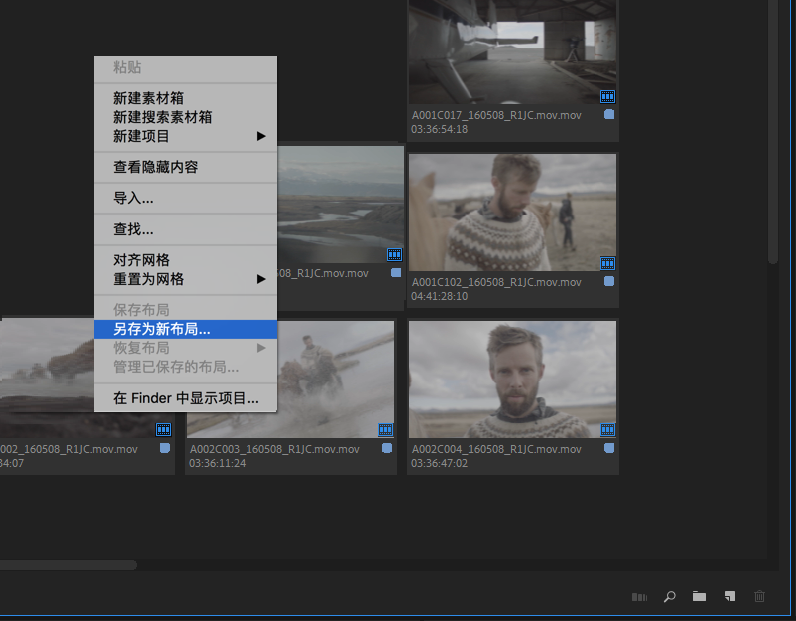 使用“项目”面板-PR模板网 使用“项目”面板-PR模板网
