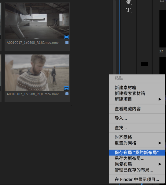 使用“项目”面板-PR模板网 使用“项目”面板-PR模板网