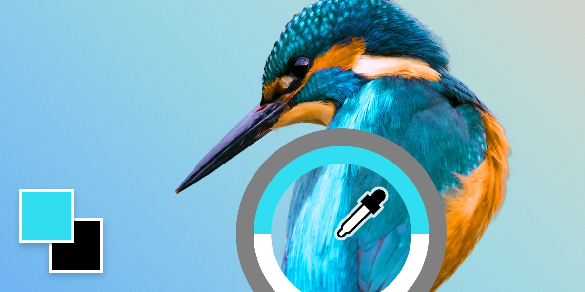 Navigate Images Fast with Birds Eye View in Photoshop