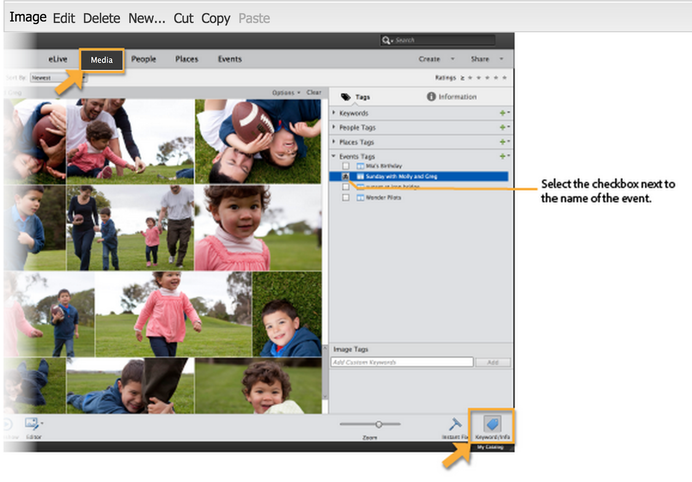 Viewing in the Media view