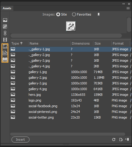 Assets panel in Design and Code View