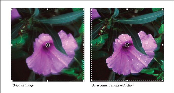 Photoshop Reduce camera shake